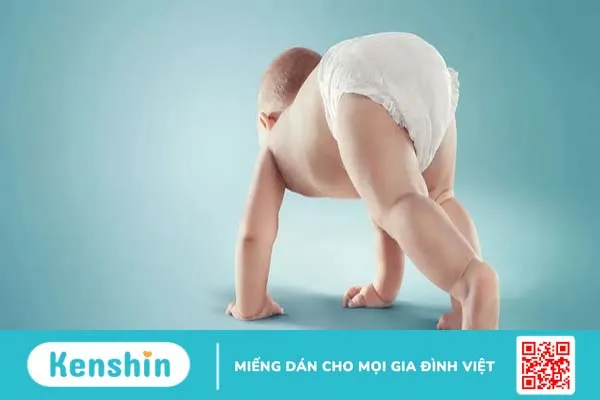 Tìm hiểu 6 loại tã dán sơ sinh được tìm kiếm nhiều nhất hiện nay