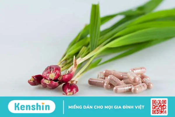 Tìm hiểu 8 tác dụng tuyệt vời của sâm đại hành với sức khỏe