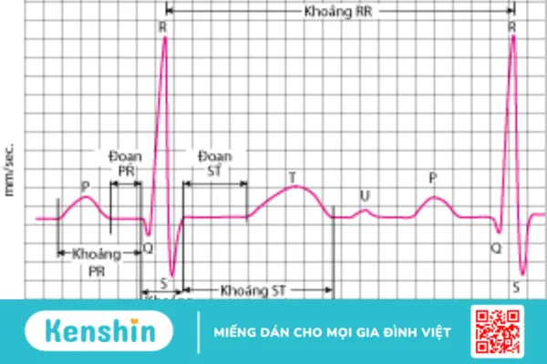 Tìm hiểu các xét nghiệm giúp chẩn đoán COPD