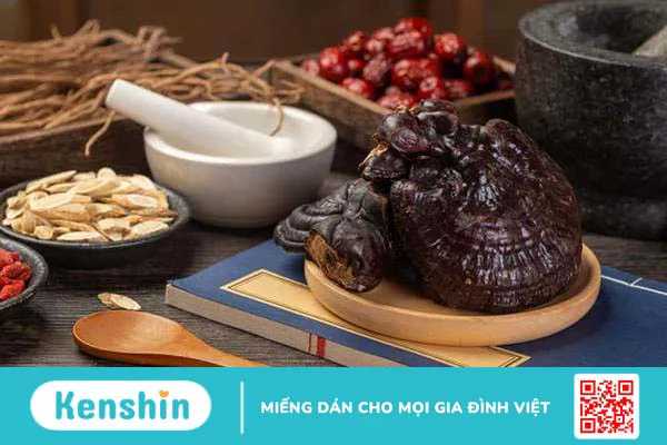 Tìm hiểu cách dùng nấm lim xanh, tối ưu hoá lợi ích sức khỏe