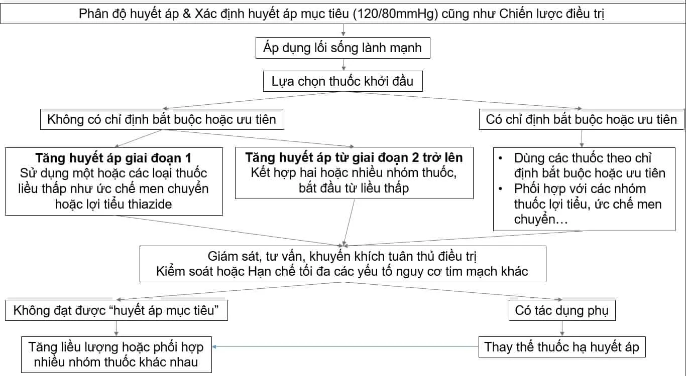 Tìm hiểu về chẩn đoán và phác đồ điều trị tăng huyết áp