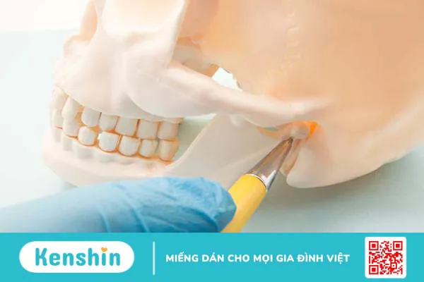 Tìm hiểu về phác đồ điều trị viêm khớp thái dương hàm