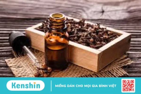 Tinh dầu đinh hương: Giá trị không chỉ nằm ở mùi hương