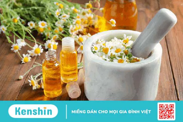 Tinh dầu hoa cúc: Đa chức năng, nhiều công dụng