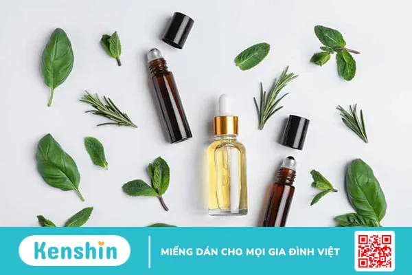 Tinh dầu húng quế: Vừa thơm, vừa dễ dùng Tinh dầu húng quế: Vừa thơm, vừa dễ dùng