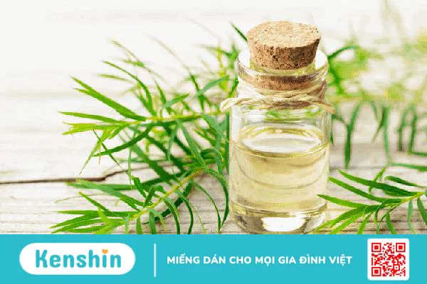 Tinh dầu trà xanh: Người bạn tốt lành cho sức khỏe