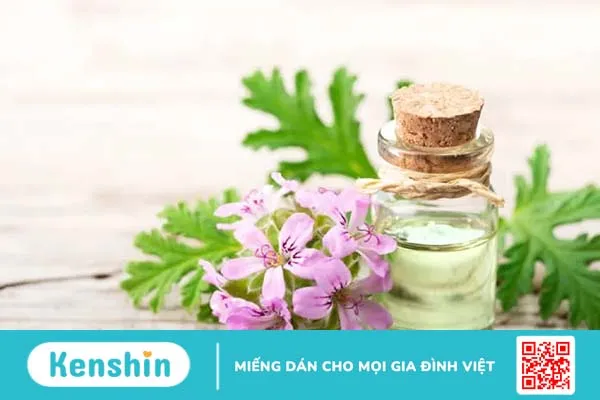 Tinh dầu trị thâm: Vũ khí dưỡng da âm thầm nhưng hiệu quả