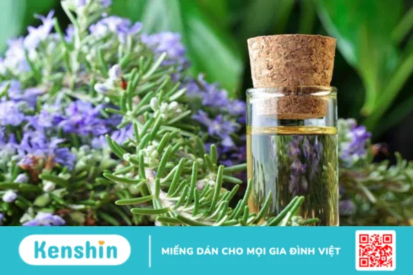 Tinh dầu xạ hương: Tác dụng và mẹo hay để dùng