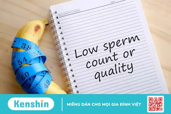 Tinh trùng ít là bệnh gì? Nguyên nhân và triệu chứng dễ nhận biết