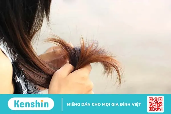 Tóc bị chẻ ngọn phải làm sao để nhanh lấy lại độ bóng khỏe?