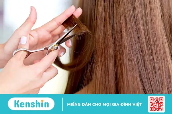 Tóc bị chẻ ngọn phải làm sao để nhanh lấy lại độ bóng khỏe?