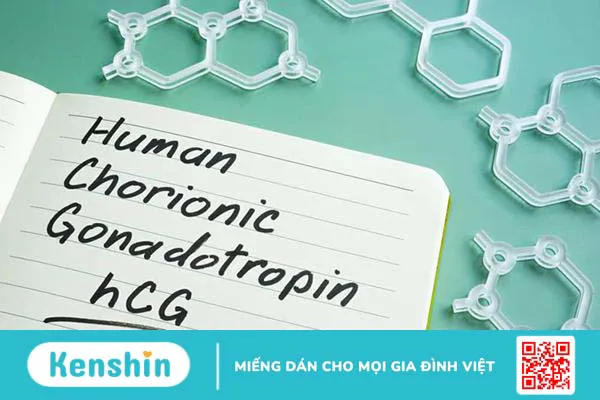 Tổng hợp 5 loại thuốc kích trứng tăng cơ hội thụ thai