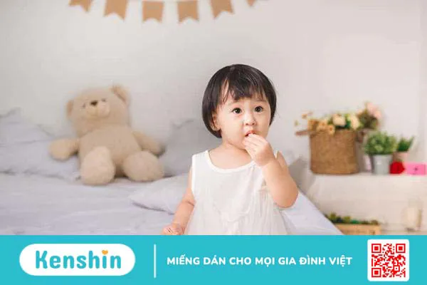 Top 10 bánh ăn dặm cho bé tốt nhất được nhiều mẹ tin dùng