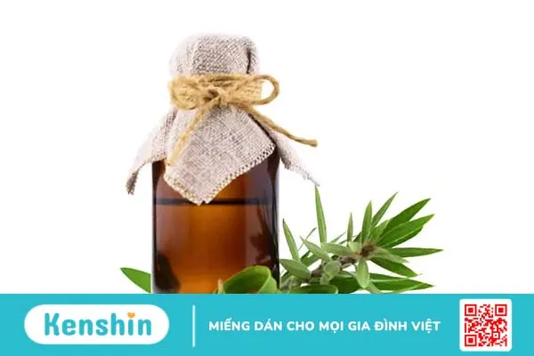 TOP 10 cách làm lông mày mọc nhanh đơn giản tại nhà