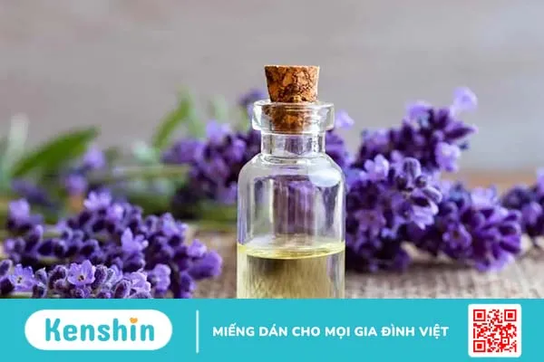 TOP 10 cách làm lông mày mọc nhanh đơn giản tại nhà