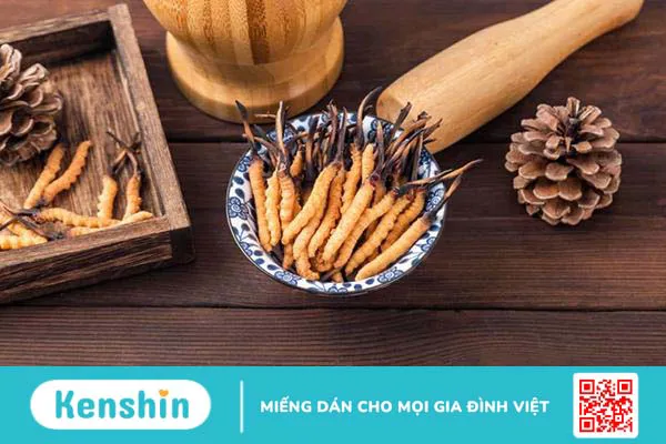 Top 10 loại thảo dược tăng cường sinh lý nam tốt nhất hiện nay