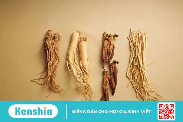 Top 10 loại thảo dược tăng cường sinh lý nam tốt nhất hiện nay