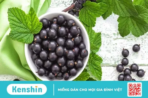 Top 10 loại trái cây giàu vitamin C quen thuộc bạn nên tăng cường bổ sung