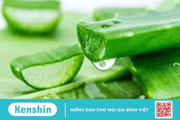 Top 14 cách làm mặt nạ nha đam dưỡng da, giảm mụn