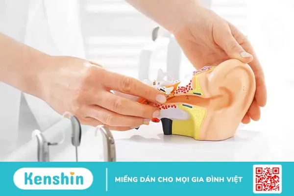 Top 3 các bệnh lý tai mũi họng thường gặp và cách điều trị hiệu quả