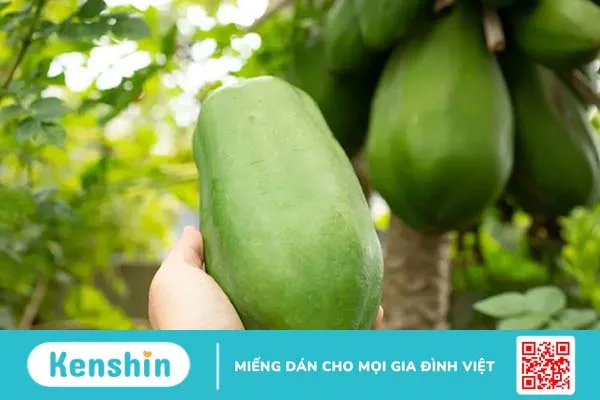 Top 3+ cách chế biến đu đủ xanh tăng vòng 1 hiệu quả