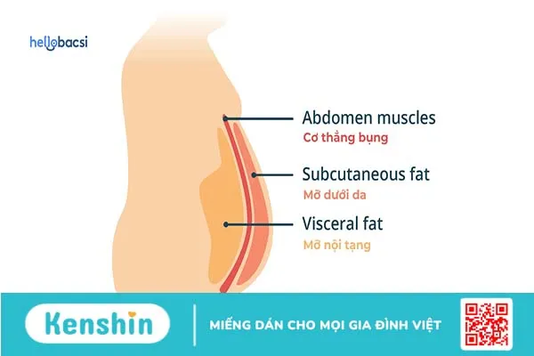 TOP 4+ cách làm giảm mỡ bụng dưới hiệu quả, an toàn