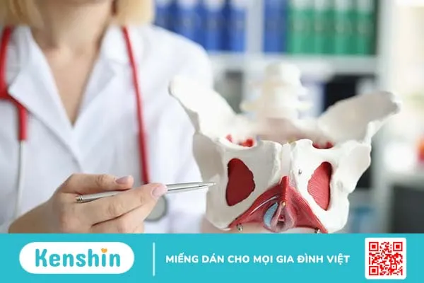 Top 5 bài tập Kegel nam giúp tăng cường sinh lý tự nhiên