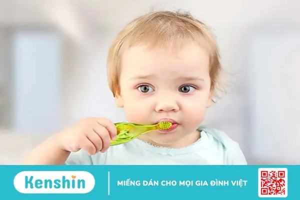 Top 5 bàn chải đánh răng cho bé tốt nhất hiện nay theo từng độ tuổi