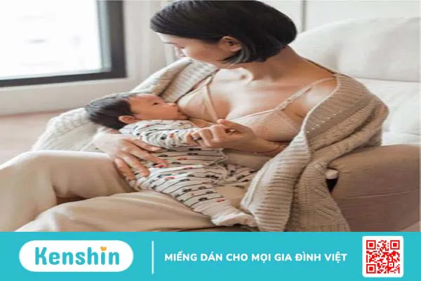 Top 6 loại áo lót chuyên dụng cho con bú mềm mại và dễ dàng tháo gỡ