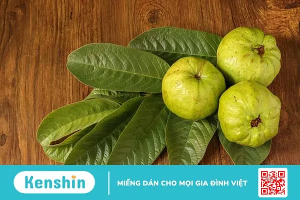 Top 6 loại lá cây trị hôi miệng hiệu quả, an toàn và dễ tìm