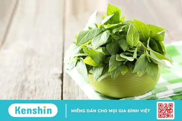 Top 6 loại lá cây trị hôi miệng hiệu quả, an toàn và dễ tìm