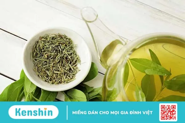 Top 6 loại lá cây trị hôi miệng hiệu quả, an toàn và dễ tìm