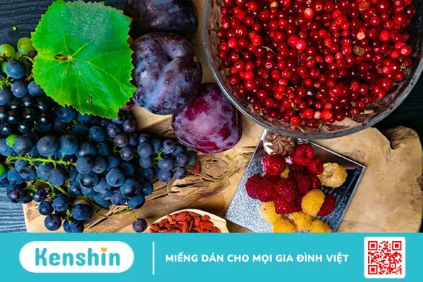 TOP 6 thành phần phổ biến trong thuốc bổ não cho người lớn giúp tăng cường chức năng não bộ