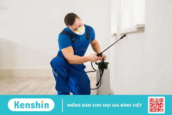 Top 7 cách diệt kiến ba khoang hiệu quả, không tốn kém