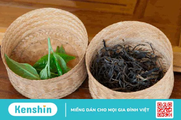 Trà assam: Loại thảo mộc quý ở Ấn Độ