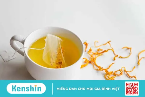 Trà đông trùng hạ thảo có tác dụng gì? 6 cách pha trà giữ trọn dưỡng chất