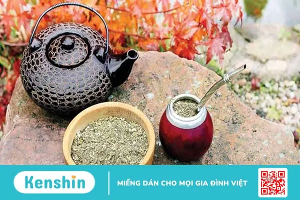 Trà yerba mate: Thức uống thú vị đến từ Argentina xa xôi