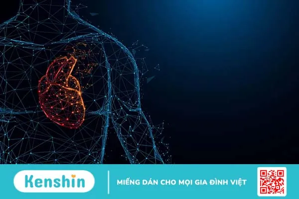 Trái tim nằm ở đâu? Các bệnh về tim và làm sao giữ tim khỏe mạnh