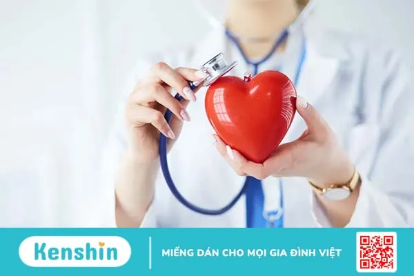 Trái tim nằm ở đâu? Các bệnh về tim và làm sao giữ tim khỏe mạnh