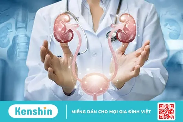 Triệu chứng đường tiểu dưới ở nam giới có ảnh hưởng đến “bản lĩnh đàn ông”?