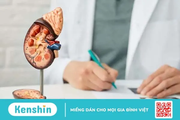 Triệu chứng thận ứ nước ở người lớn và trẻ em