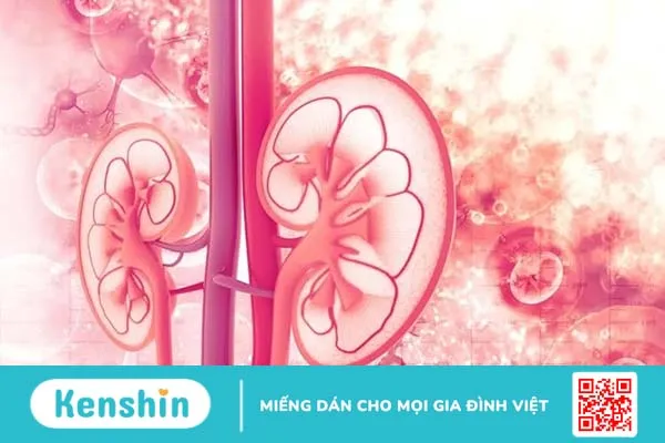 Triệu chứng xơ gan giai đoạn cuối: “Thông điệp” từ tử thần