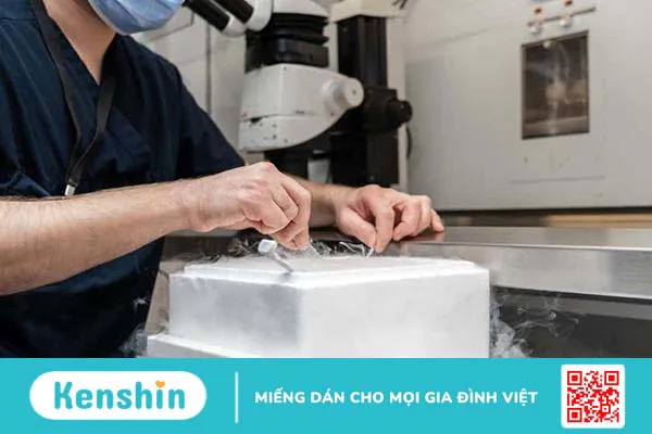 Trữ đông trứng hết bao nhiêu? Chi phí bao gồm những khoản nào?