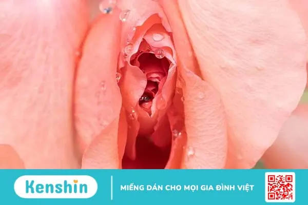 Tự sướng có ảnh hưởng đến kinh nguyệt? Thủ dâm ngày đèn đỏ nên hay không?