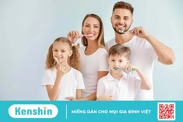 Túi nha chu là gì? Những thông tin cần biết để bảo vệ răng nướu tốt nhất