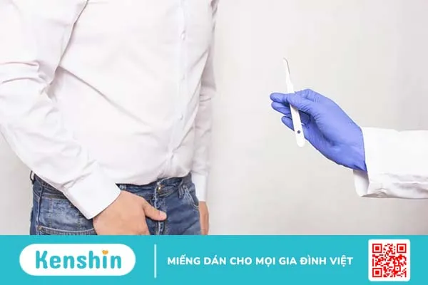 Tuyến tiền liệt có chức năng gì? Hiểu rõ để chăm sóc tốt hơn