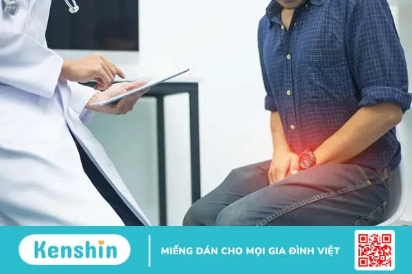 Tuyến tiền liệt nằm ở đâu? Cấu tạo và chức năng ra sao?