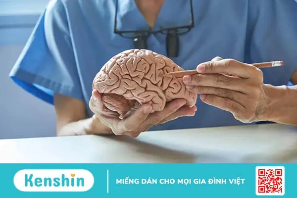 U nguyên bào thần kinh đệm là gì?