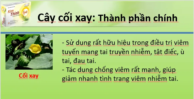 Ù tai, ve kêu trong tai là bệnh gì? Làm sao để khắc phục?