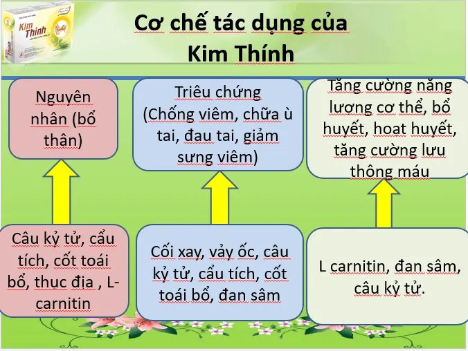 Ù tai, ve kêu trong tai là bệnh gì? Làm sao để khắc phục?